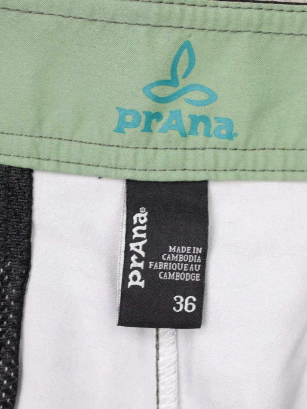 Prana Linear Board Shorts Mens 36 Green/Blue Striped 10